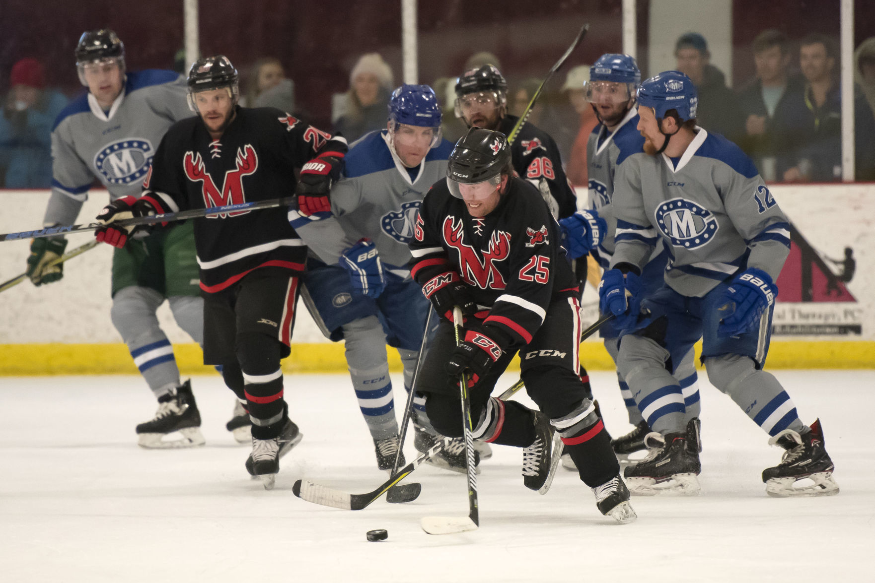 Moose hockey
